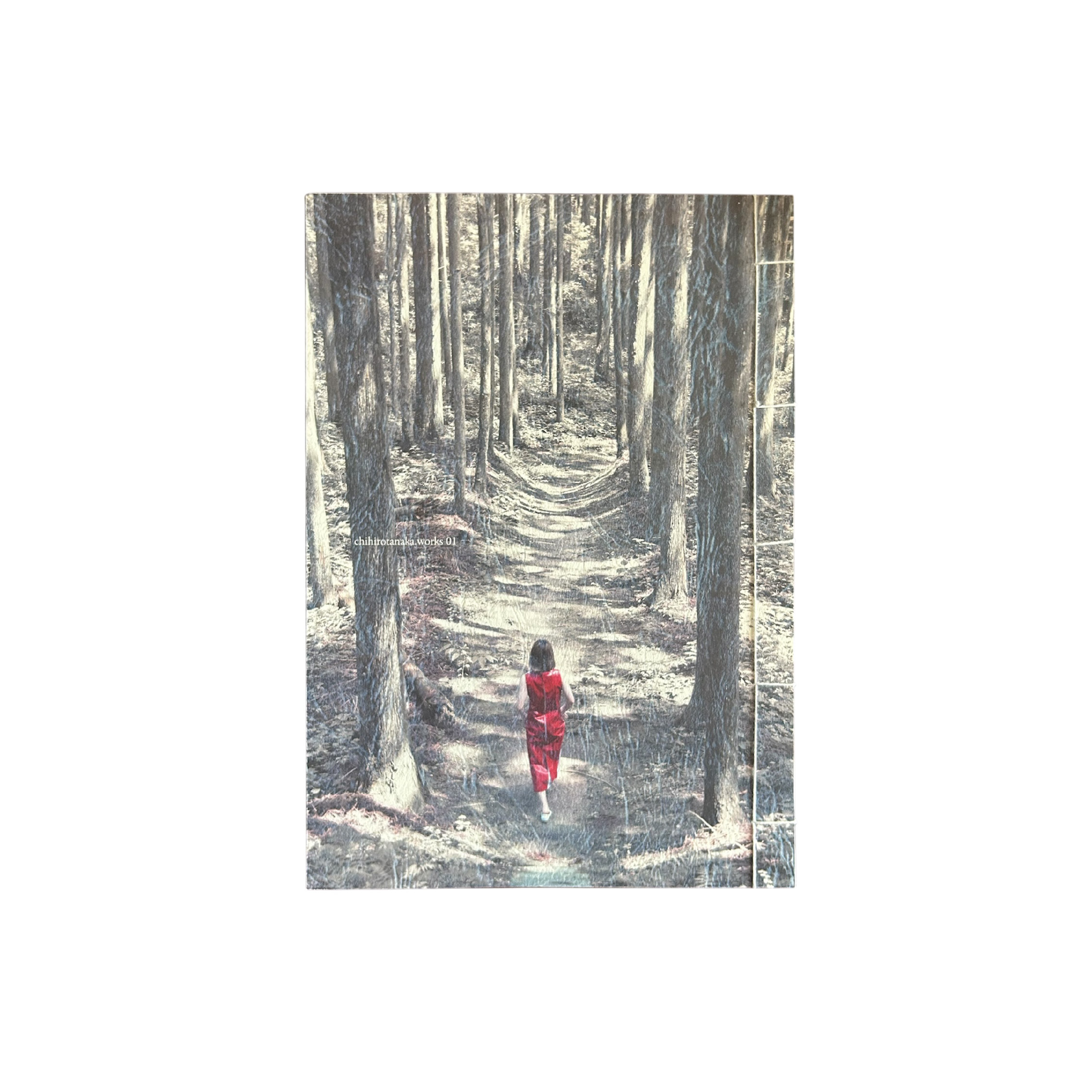 ZINE-抑制の森の先で-